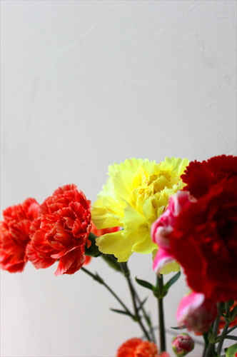 carnations.jpg